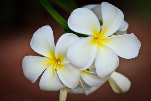 754634 (a): :2800x1866
